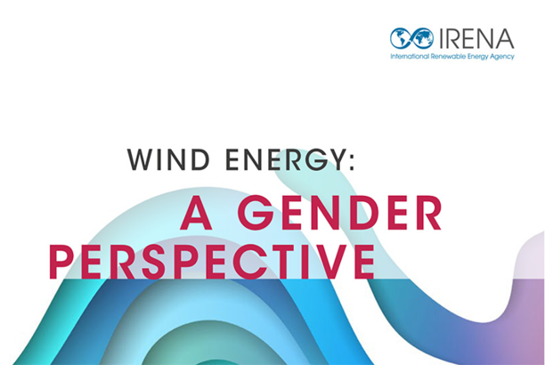 Wind Energy: A Gender Perspective